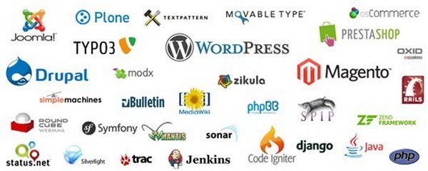 Understanding the Different Types of Website Platforms